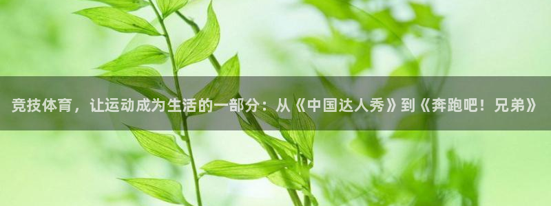 vsport体育官网下载招商：竞技体育，让运动成为生