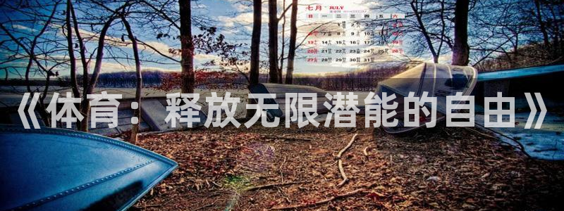 vsport体育官网下载是干嘛的公司：《体育：释放无