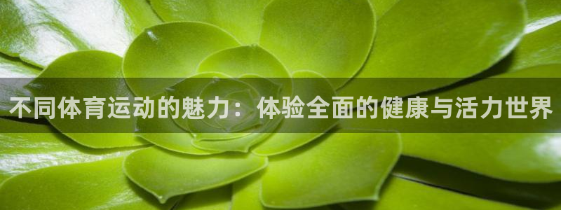 vsport体育官网下载招商电话号码是多少：不同体育