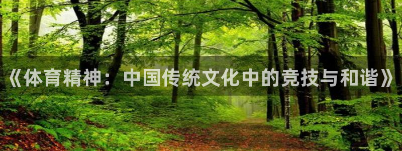 vsport体育官网下载娱乐：《体育精神：中国传统文