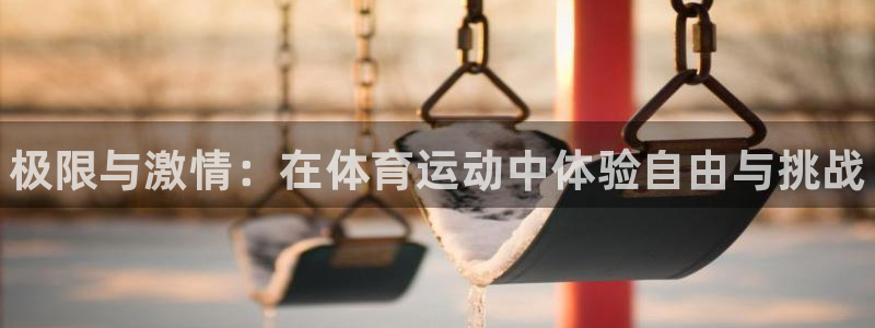 vsport体育官方正版app科技：极限与激情：在体