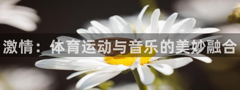 vsport体育官网下载软件：激情：体育运动与音乐的