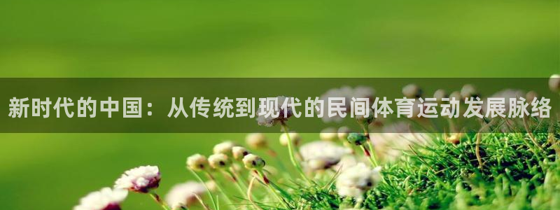 vsport体育官方正版app集团：新时代的中国：从传统到现