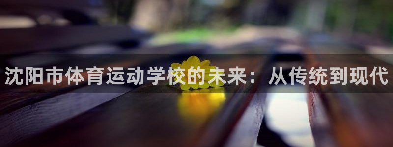 vsport体育官方正版app娱乐下载：沈阳市体育运