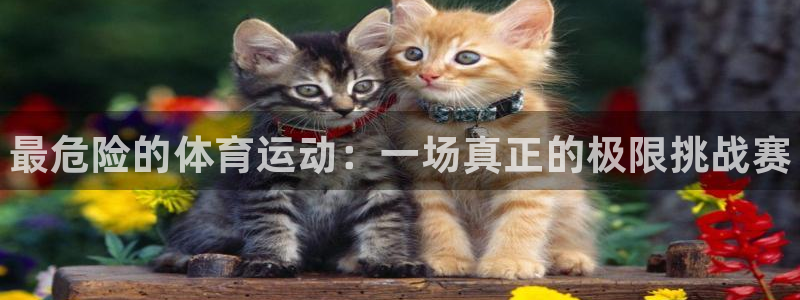 vsport体育官方正版app新能源：最危险的体育运