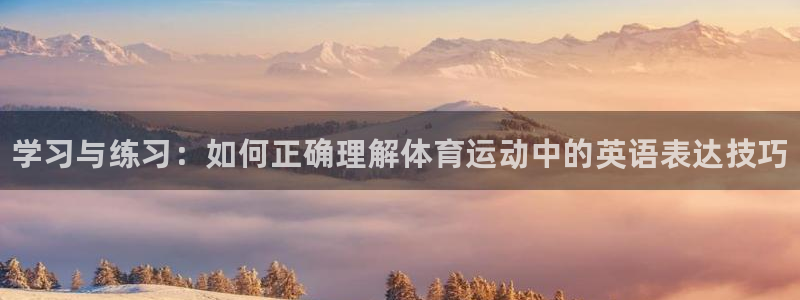 vsport体育官网下载平台是正规平台吗知乎：学习与