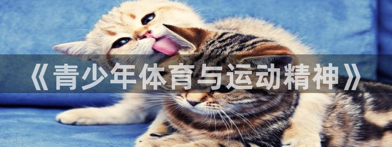 vsport体育官方正版app五金厂：《青少年体育与