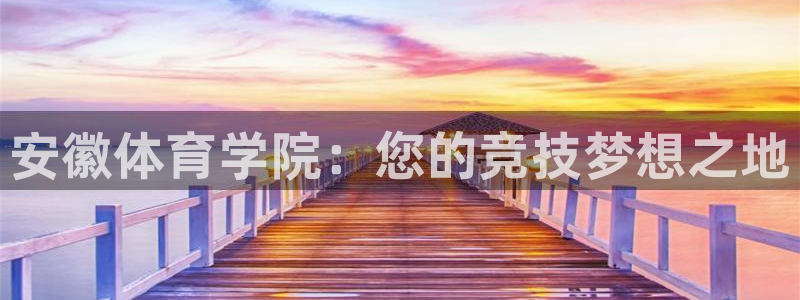 vsport体育官方平台体育：安徽体育学院：您的竞技