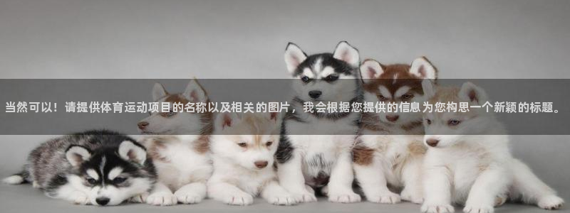 vsport体育官网下载招商：当然可以！请提供体育运