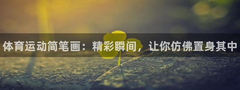 vsport体育官方正版app娱乐首页网站大全：体育