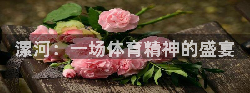 vsport体育官方正版app代理：漯河：一场体育精