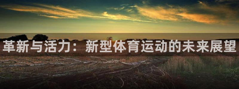 vsport体育官网下载招商电话号码：革新与活力：新