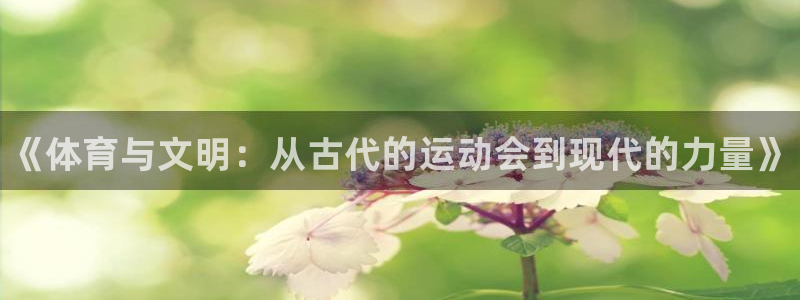 vsport体育官方正版app代理：《体育与文明：从